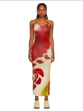 Paloma wool blossom dress